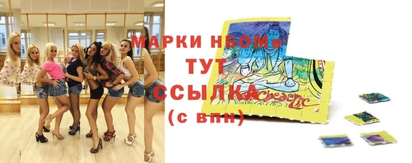 стаф Алзамай