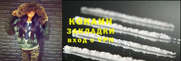 стаф Алзамай