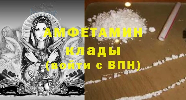стаф Алзамай
