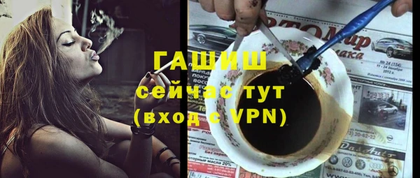стаф Алзамай