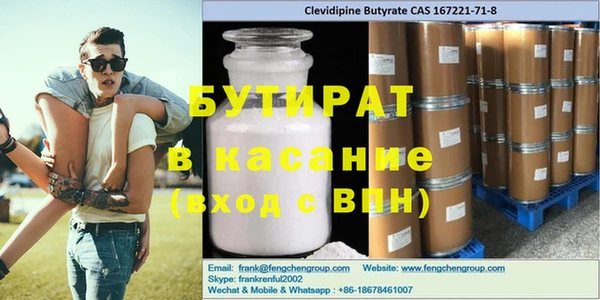 стаф Алзамай