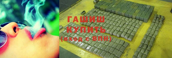 стаф Алзамай